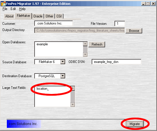 Figure 12 - Defining Large Text Fields
