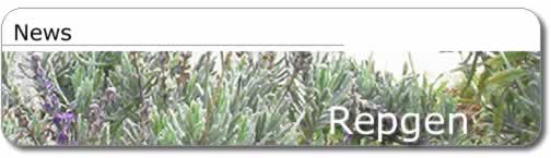 Products - Title Graphic
